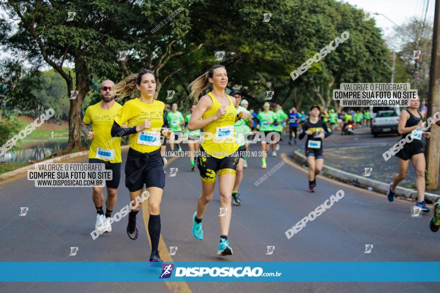 Brasil Corridas - Run 15km - Londrina