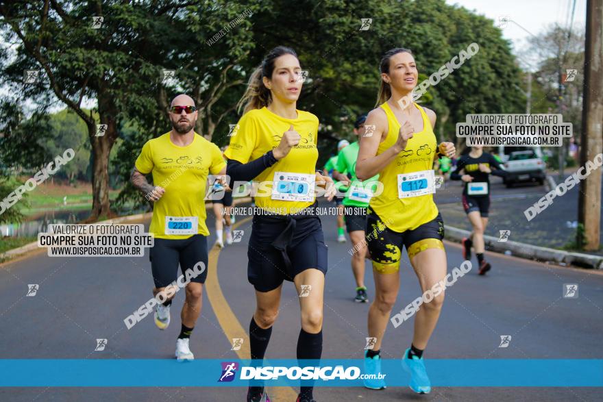 Brasil Corridas - Run 15km - Londrina