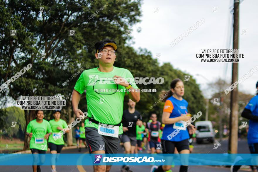 Brasil Corridas - Run 15km - Londrina