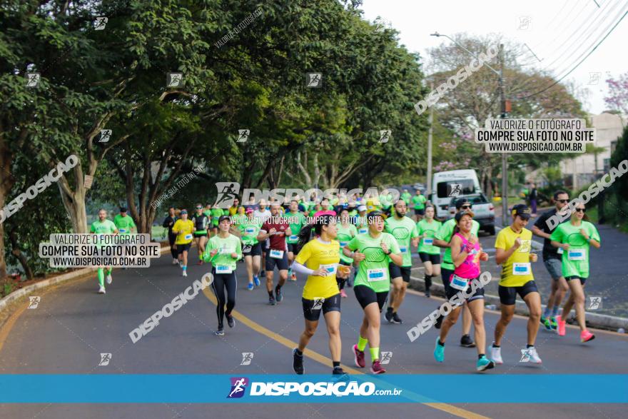 Brasil Corridas - Run 15km - Londrina