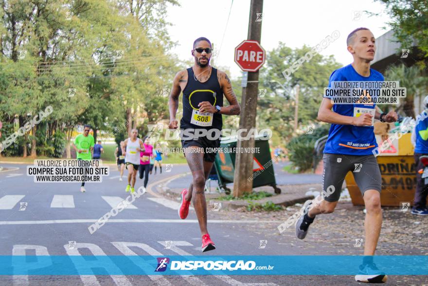 Brasil Corridas - Run 15km - Londrina