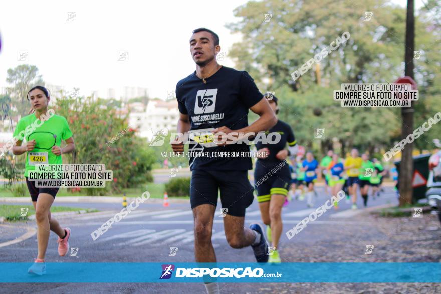 Brasil Corridas - Run 15km - Londrina