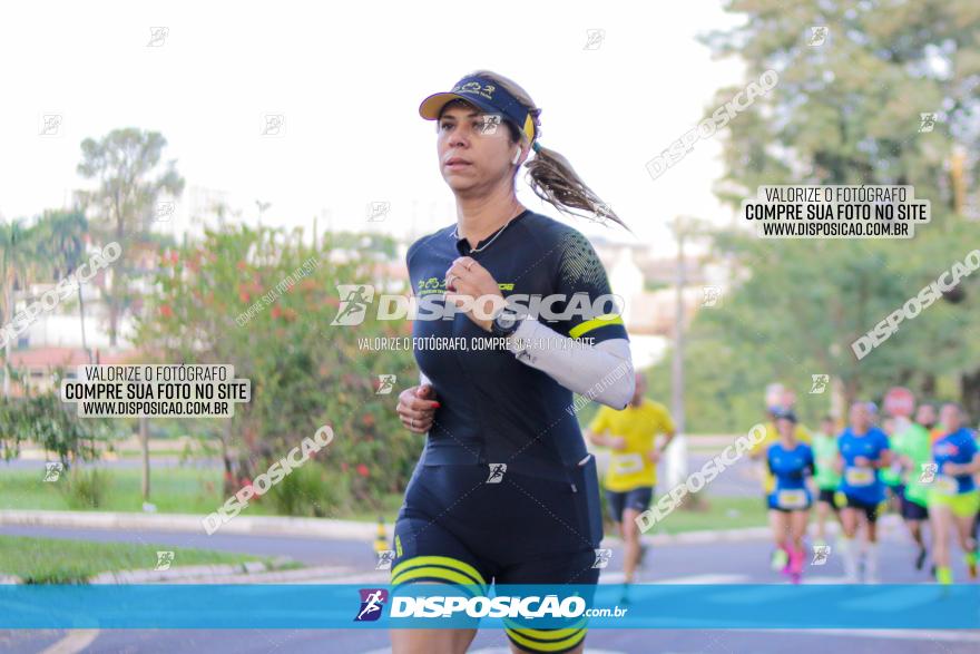 Brasil Corridas - Run 15km - Londrina