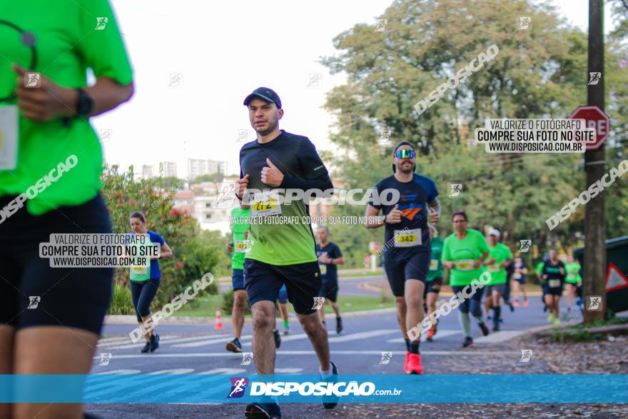 Brasil Corridas - Run 15km - Londrina