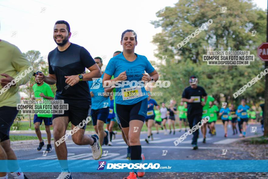 Brasil Corridas - Run 15km - Londrina