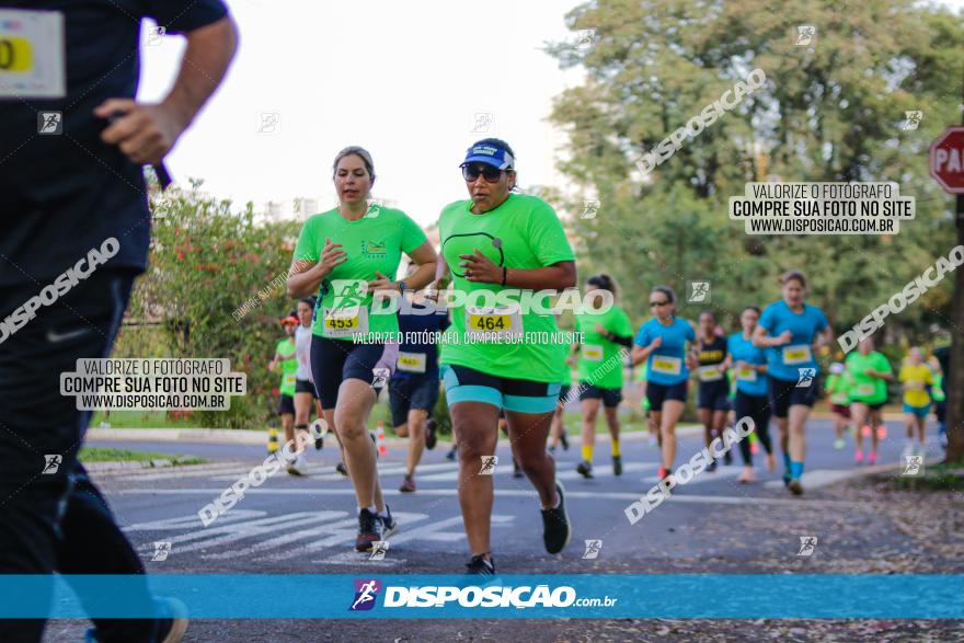 Brasil Corridas - Run 15km - Londrina