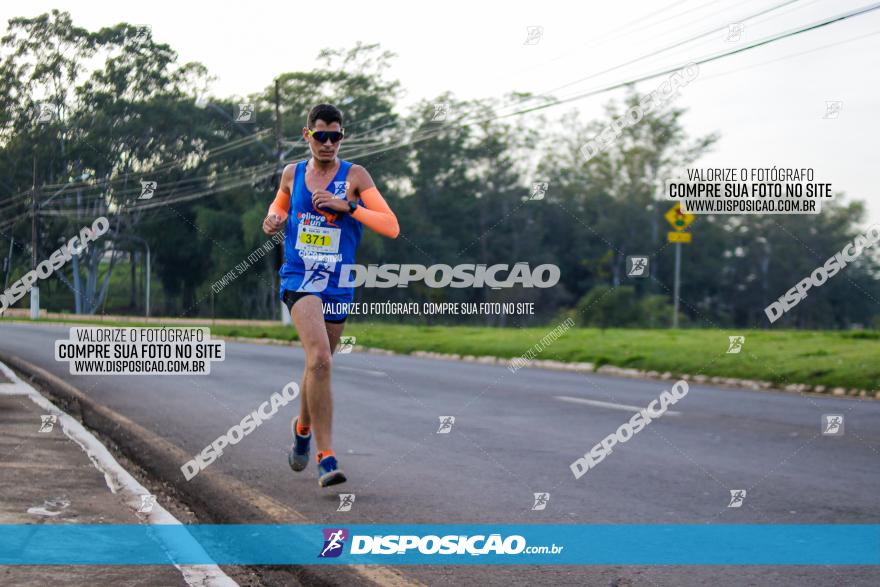 Brasil Corridas - Run 15km - Londrina