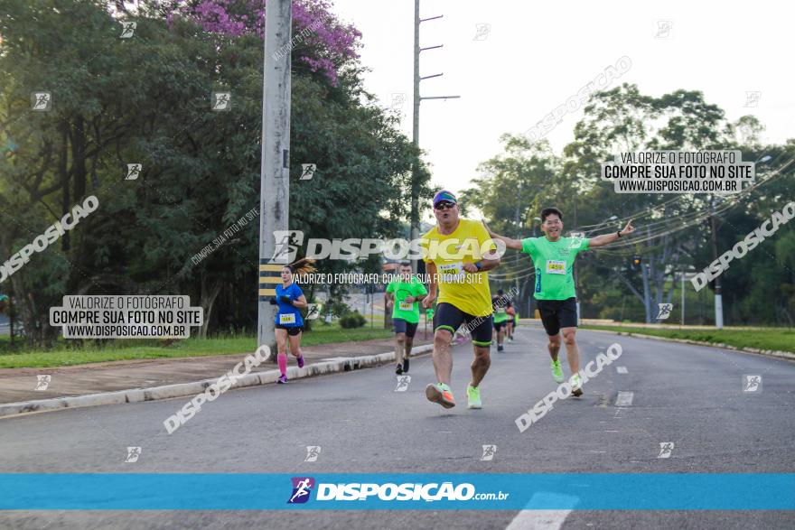 Brasil Corridas - Run 15km - Londrina