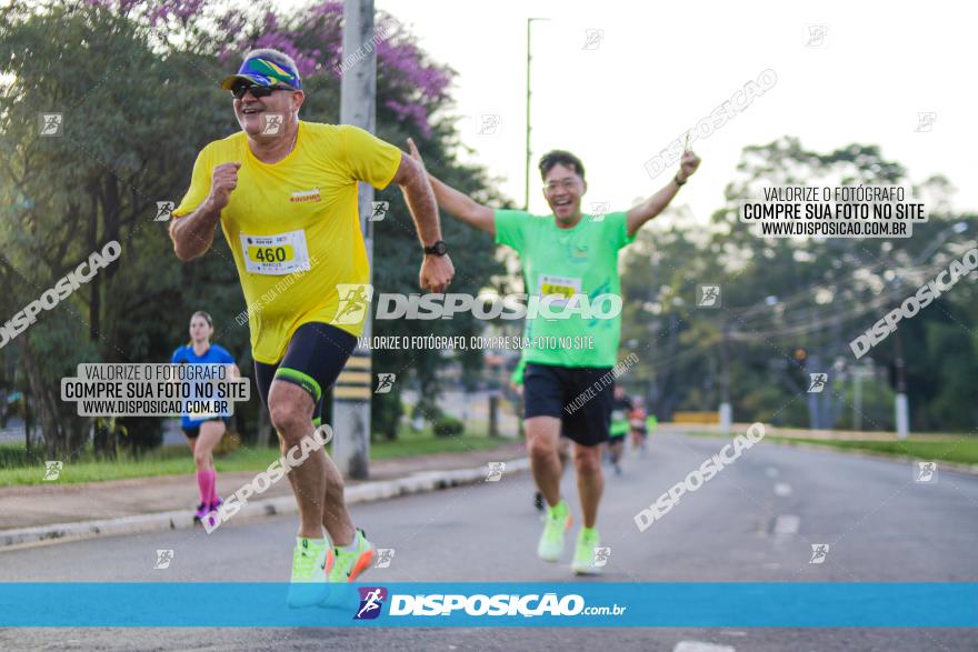 Brasil Corridas - Run 15km - Londrina