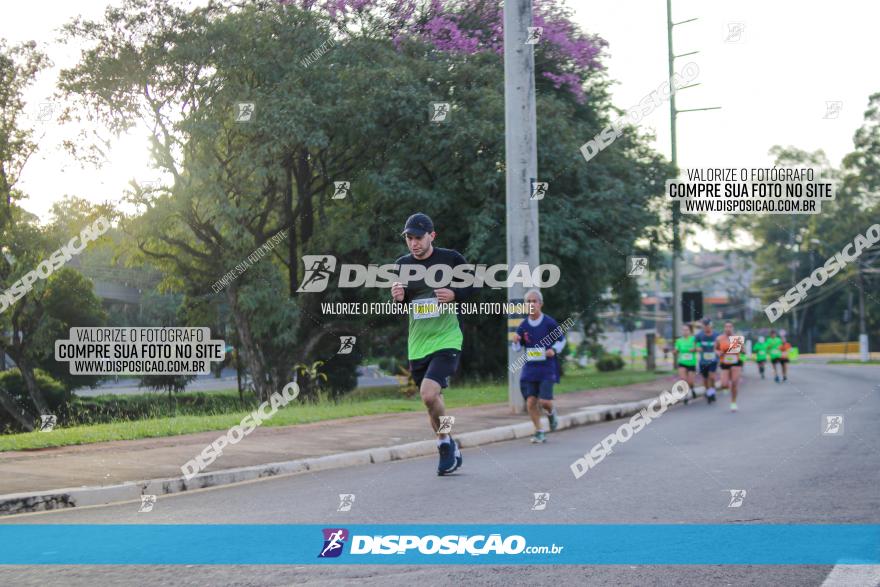 Brasil Corridas - Run 15km - Londrina