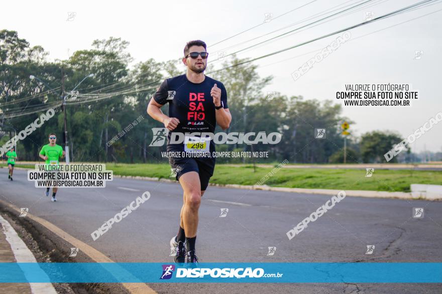 Brasil Corridas - Run 15km - Londrina