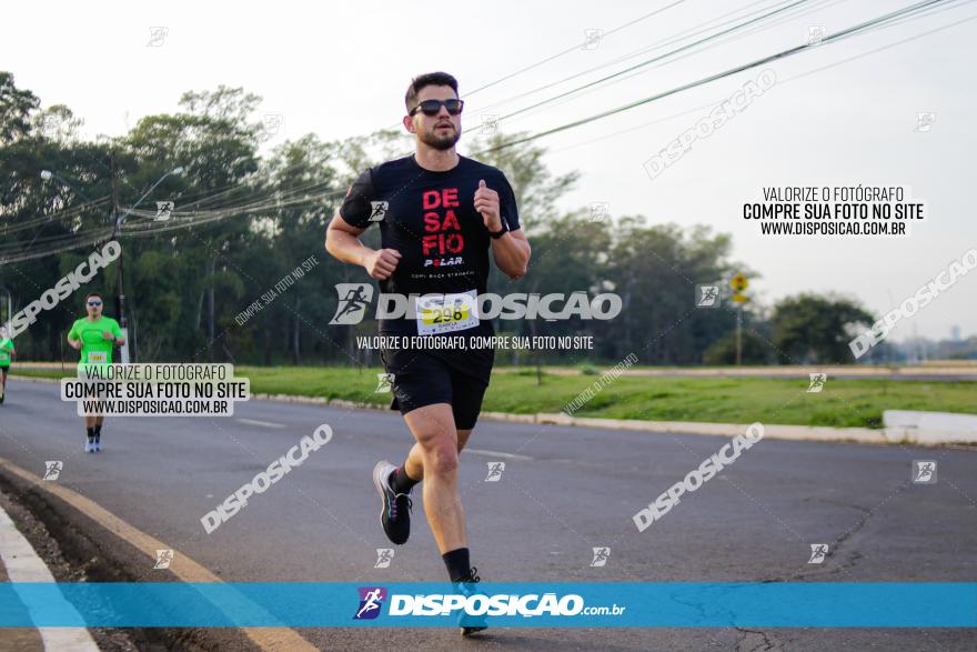 Brasil Corridas - Run 15km - Londrina