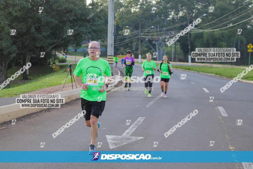 Brasil Corridas - Run 15km - Londrina