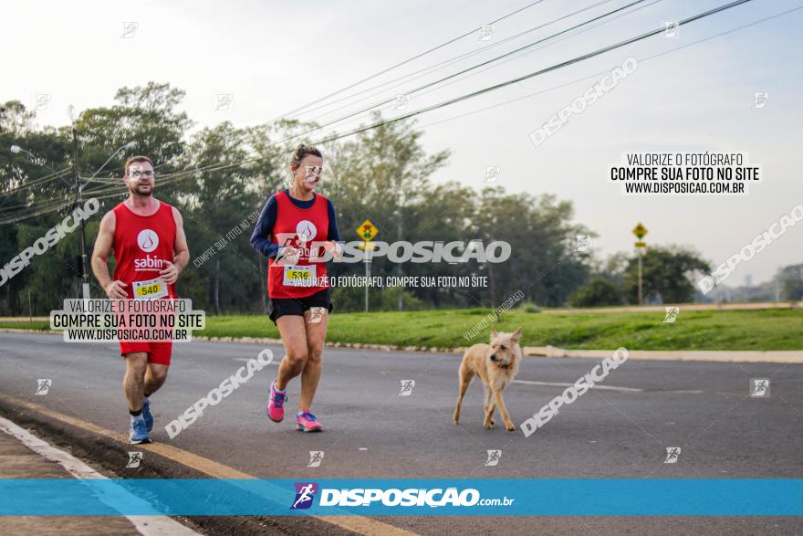 Brasil Corridas - Run 15km - Londrina