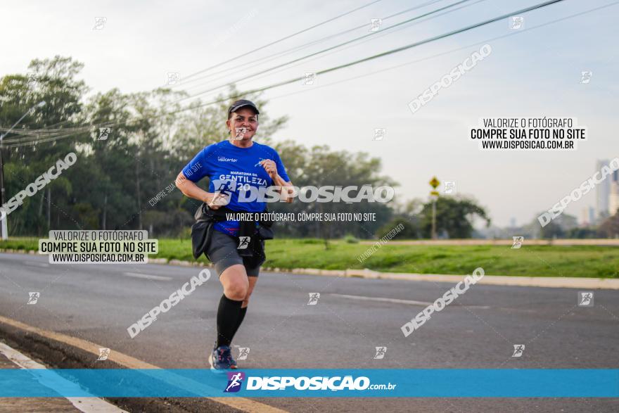 Brasil Corridas - Run 15km - Londrina