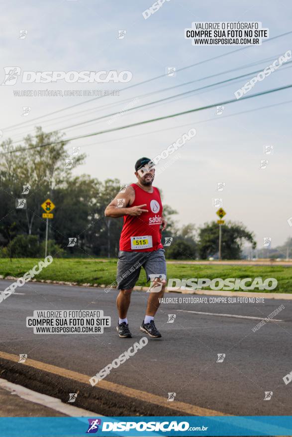 Brasil Corridas - Run 15km - Londrina