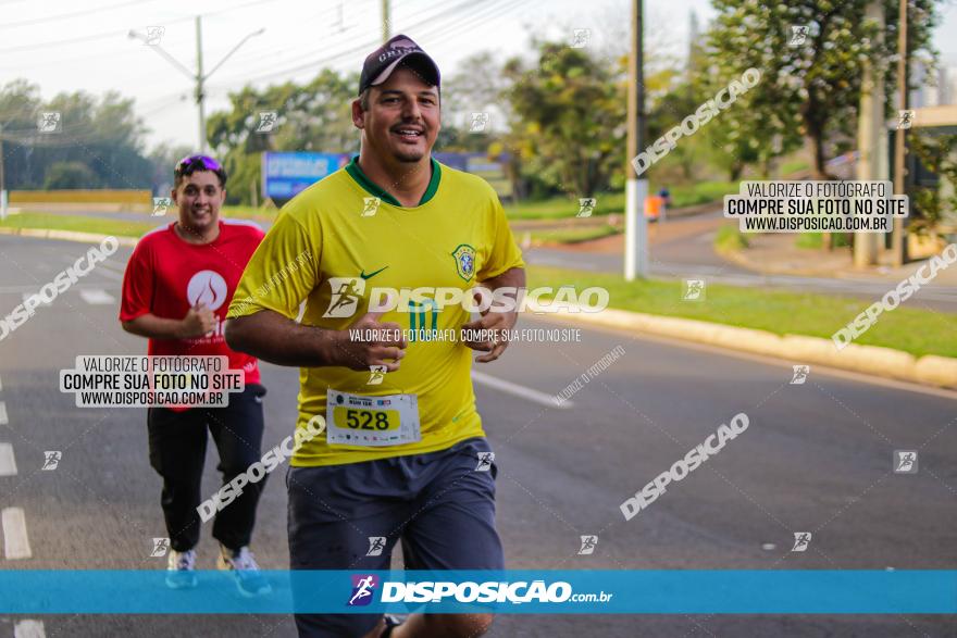 Brasil Corridas - Run 15km - Londrina