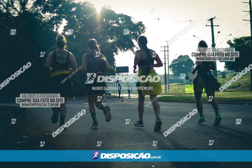 Brasil Corridas - Run 15km - Londrina