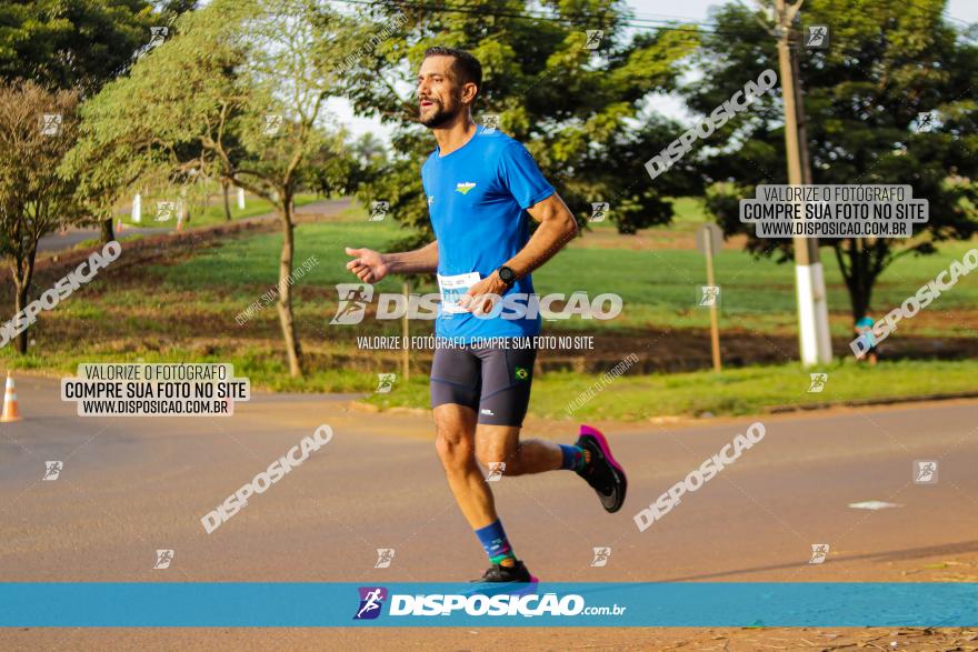 Brasil Corridas - Run 15km - Londrina