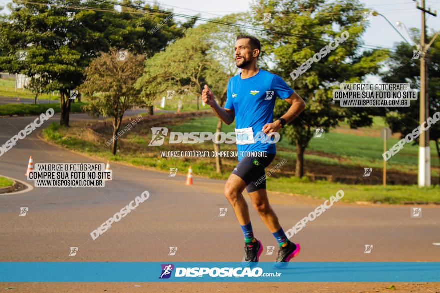 Brasil Corridas - Run 15km - Londrina