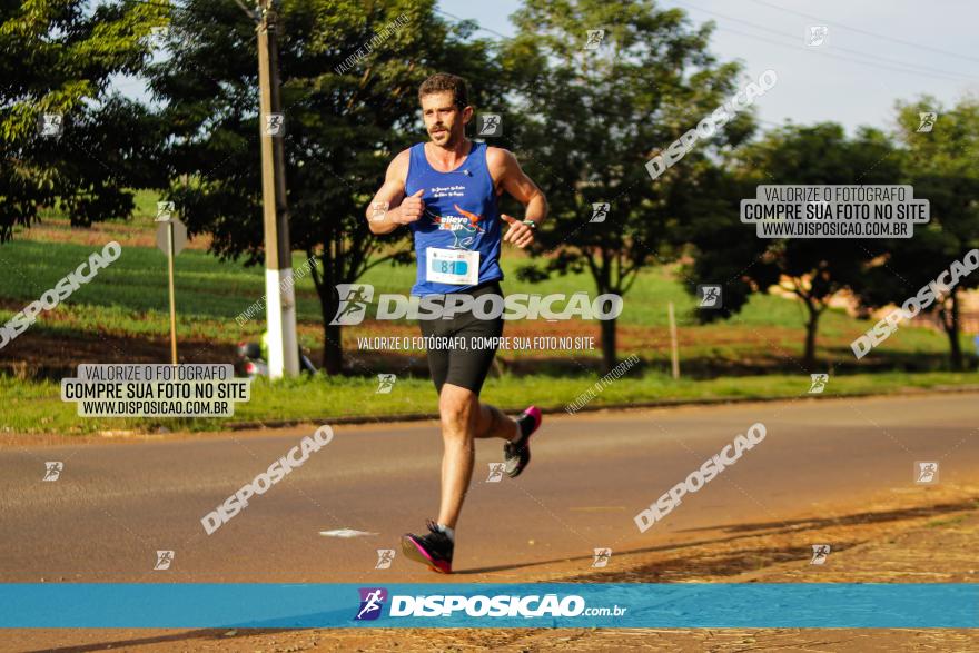 Brasil Corridas - Run 15km - Londrina