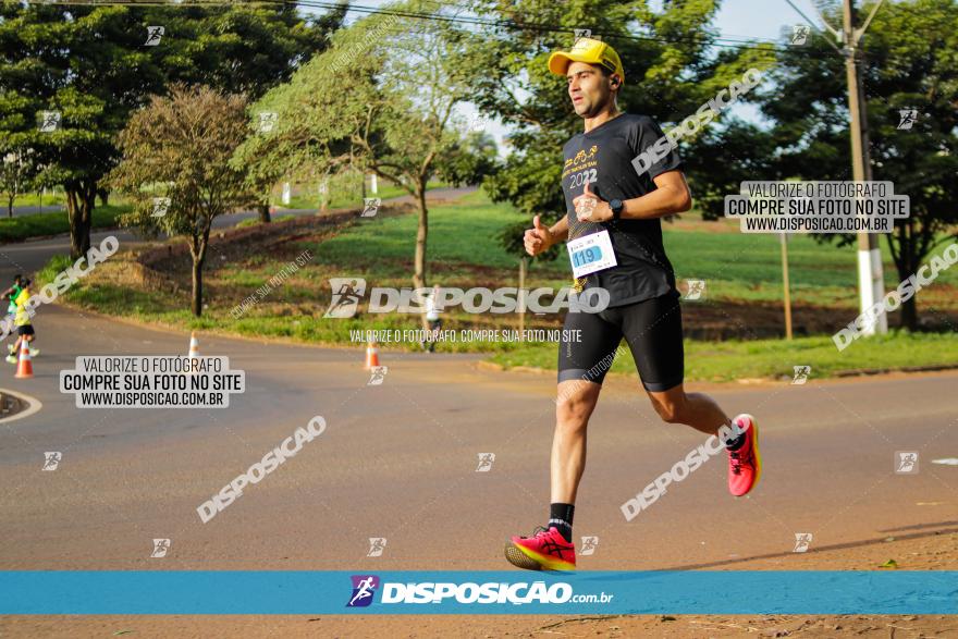 Brasil Corridas - Run 15km - Londrina