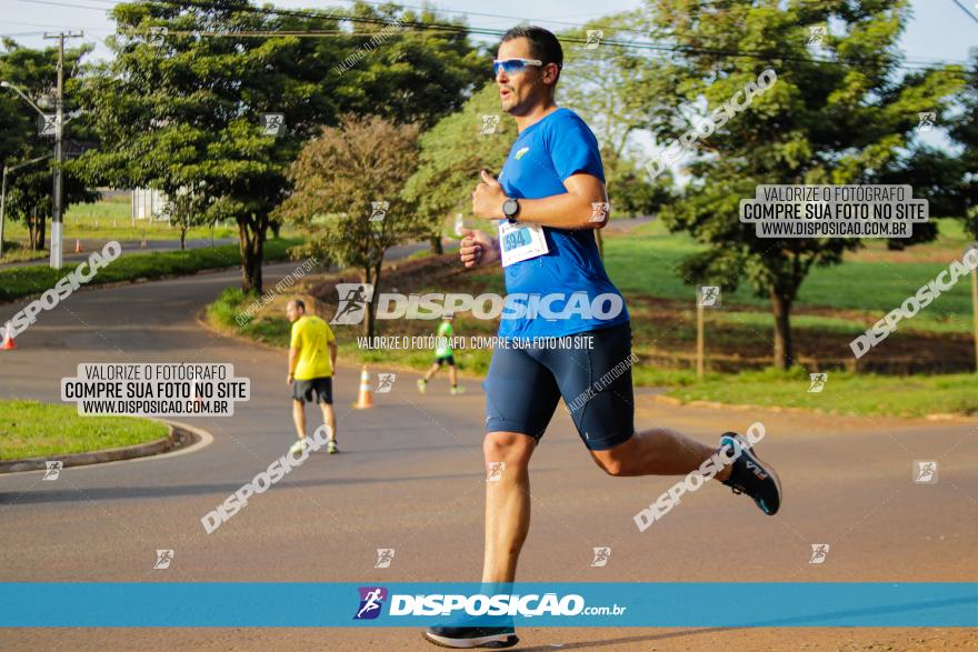 Brasil Corridas - Run 15km - Londrina