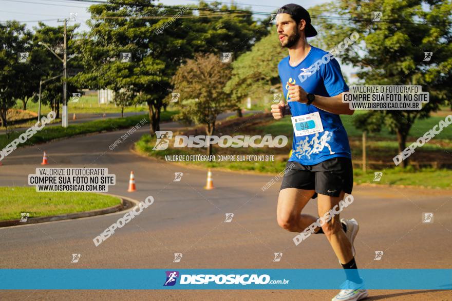 Brasil Corridas - Run 15km - Londrina