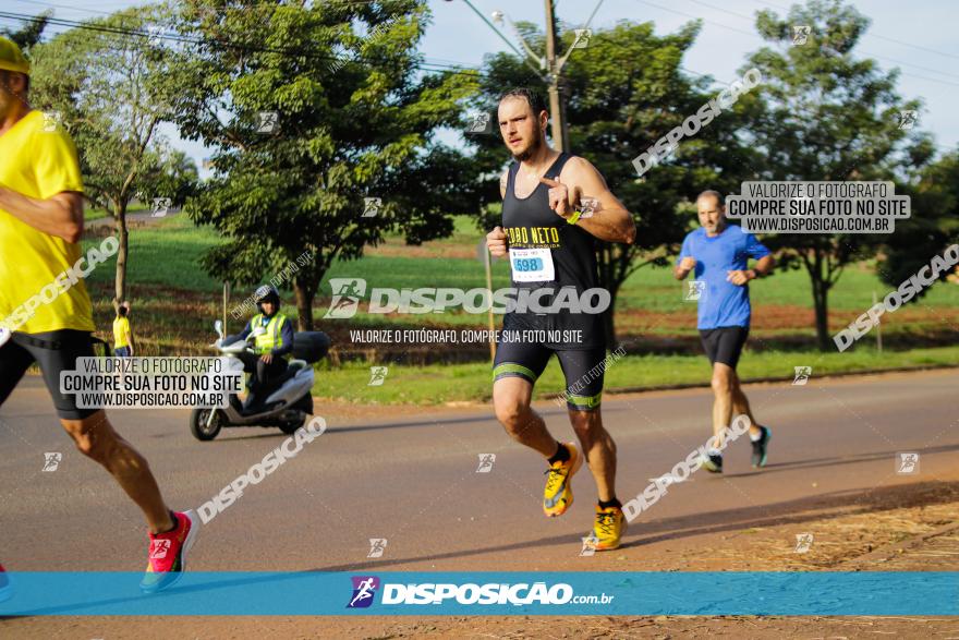 Brasil Corridas - Run 15km - Londrina