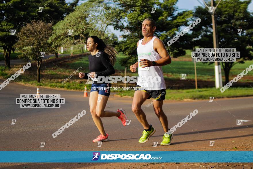 Brasil Corridas - Run 15km - Londrina