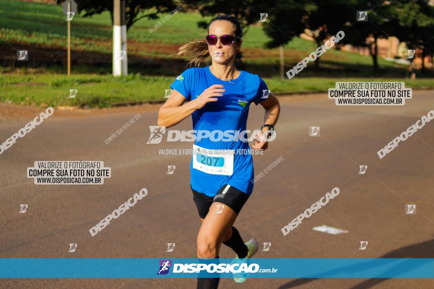 Brasil Corridas - Run 15km - Londrina