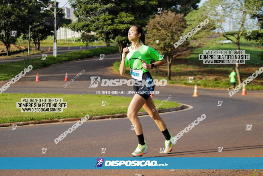 Brasil Corridas - Run 15km - Londrina