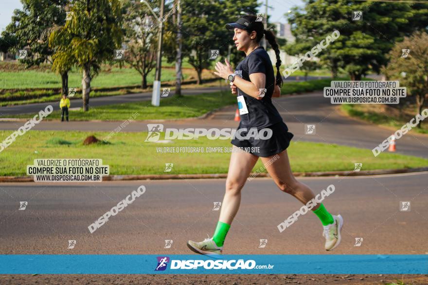 Brasil Corridas - Run 15km - Londrina