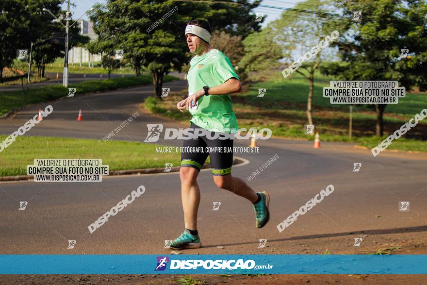 Brasil Corridas - Run 15km - Londrina