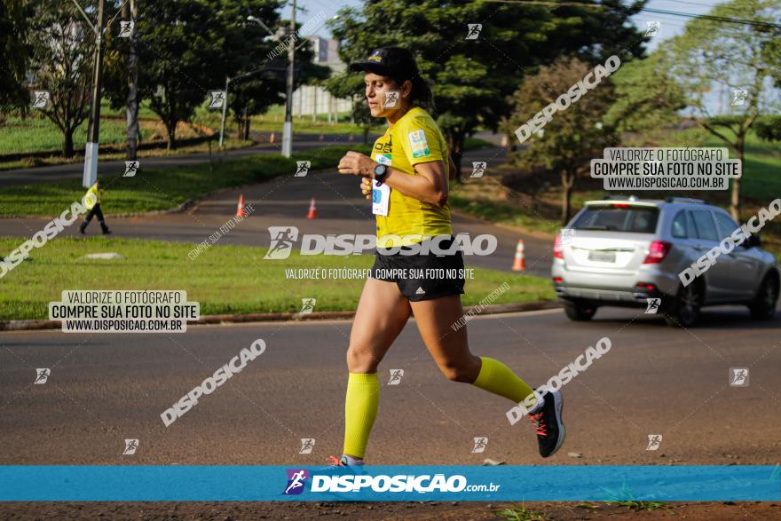 Brasil Corridas - Run 15km - Londrina