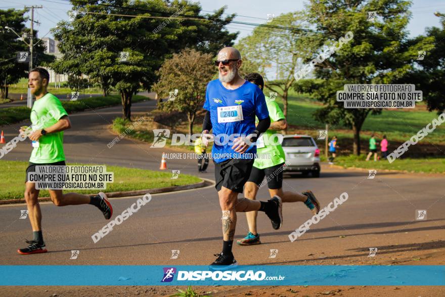 Brasil Corridas - Run 15km - Londrina