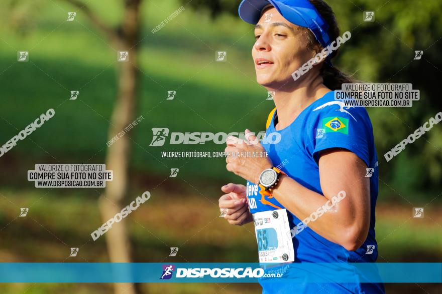 Brasil Corridas - Run 15km - Londrina