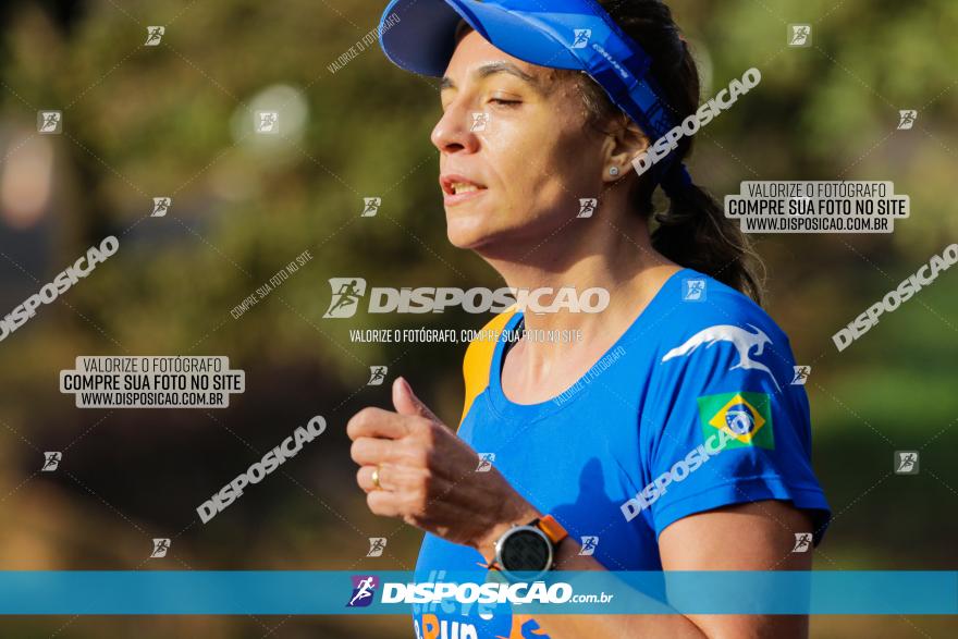 Brasil Corridas - Run 15km - Londrina