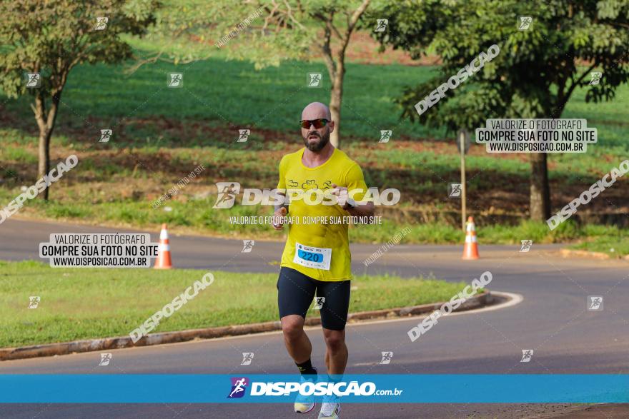 Brasil Corridas - Run 15km - Londrina