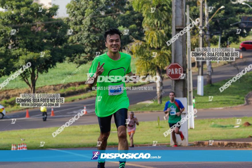 Brasil Corridas - Run 15km - Londrina