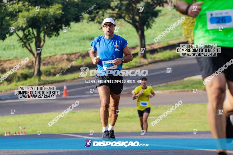 Brasil Corridas - Run 15km - Londrina