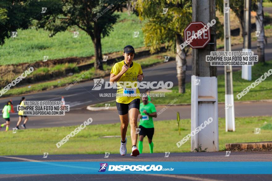 Brasil Corridas - Run 15km - Londrina