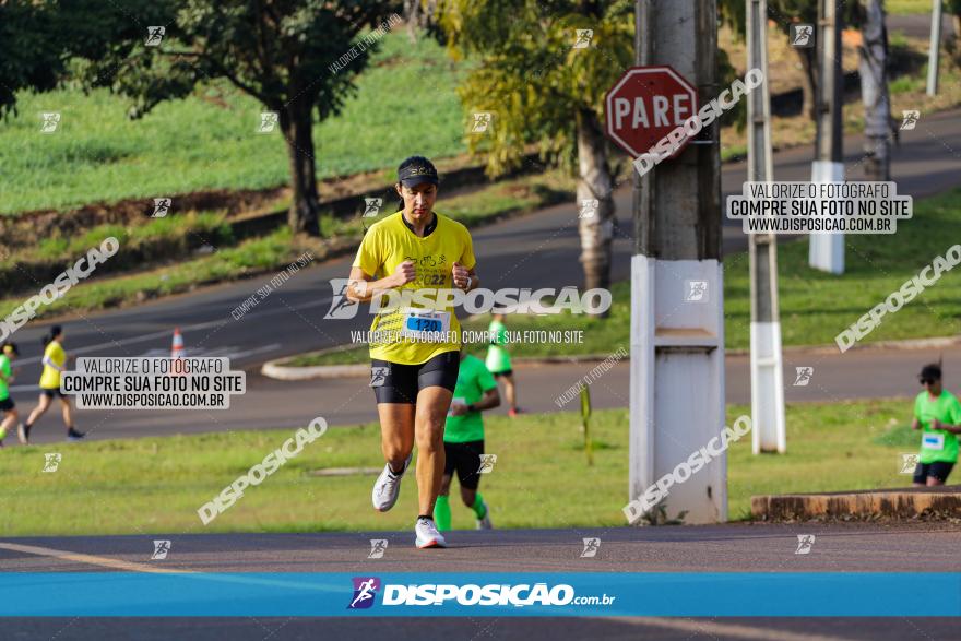 Brasil Corridas - Run 15km - Londrina