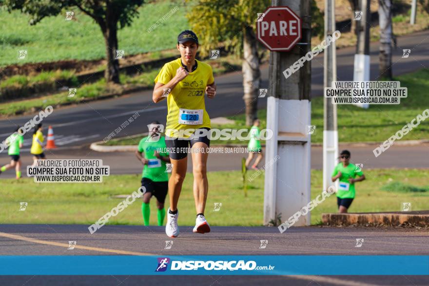 Brasil Corridas - Run 15km - Londrina