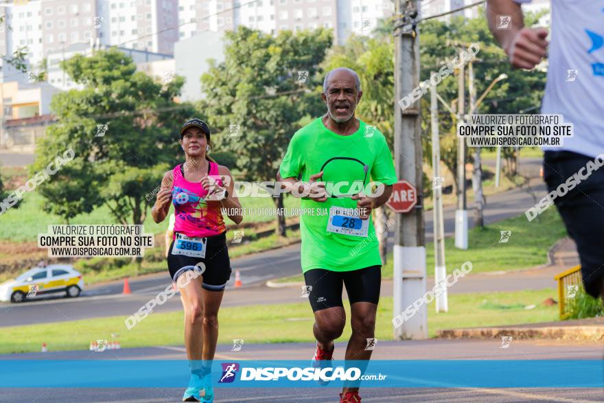 Brasil Corridas - Run 15km - Londrina