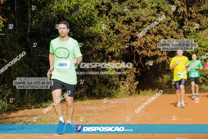 Brasil Corridas - Run 15km - Londrina