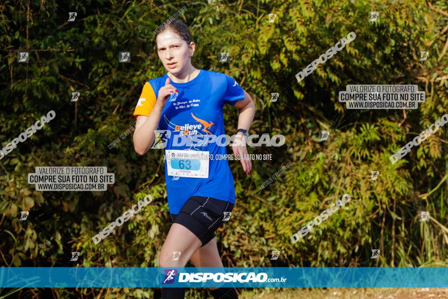 Brasil Corridas - Run 15km - Londrina