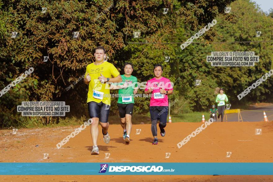 Brasil Corridas - Run 15km - Londrina