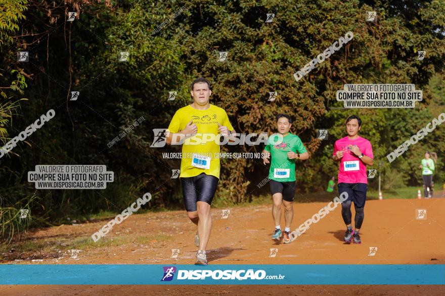 Brasil Corridas - Run 15km - Londrina