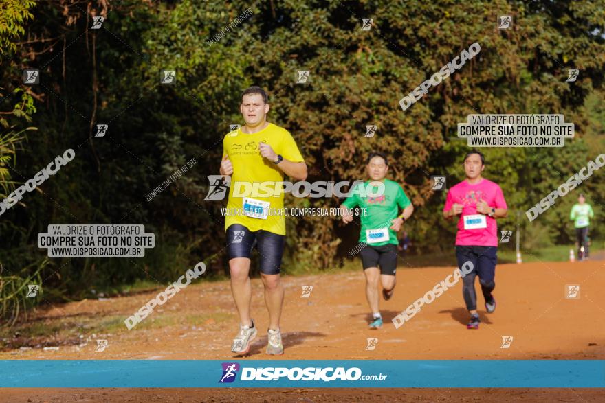 Brasil Corridas - Run 15km - Londrina